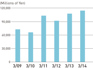 Net Sales